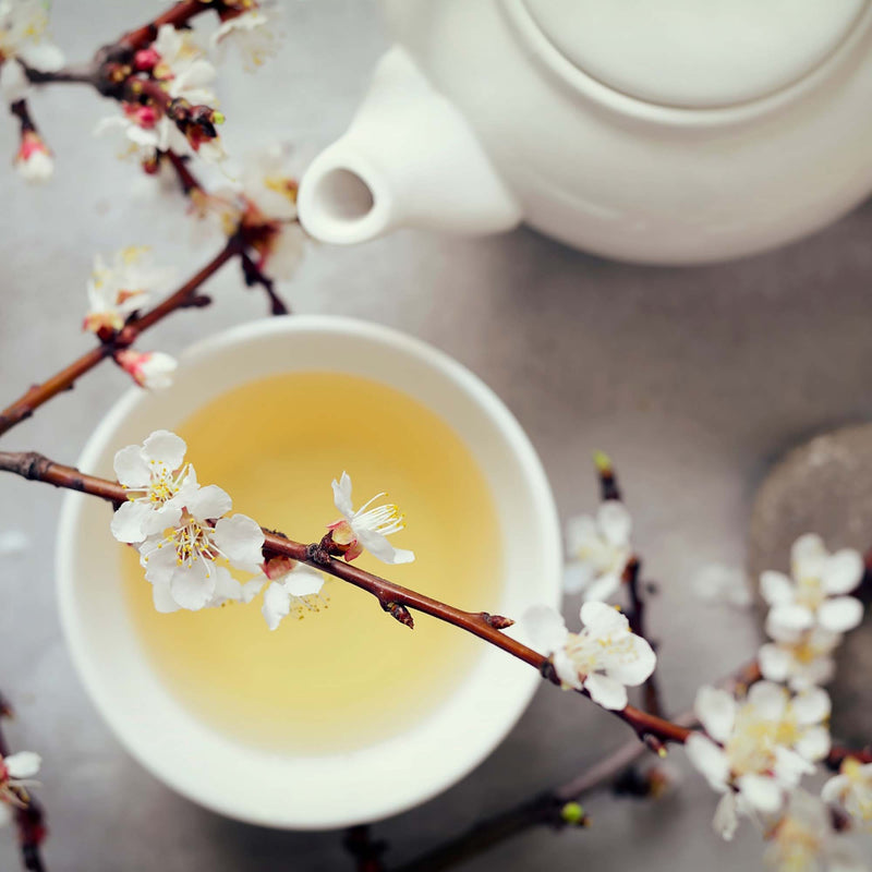 漢方茶包可以回沖幾次？營養師告訴你讓養分完整釋放的正確喝法
