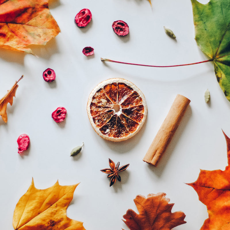 四季養生茶｜抗寒肉桂茶