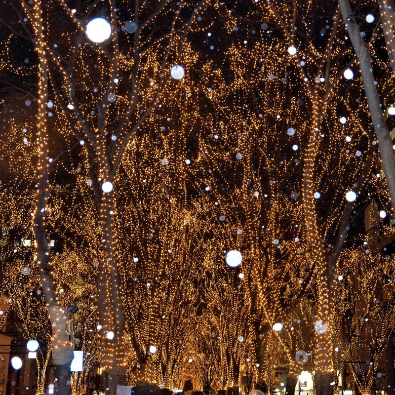 聖誕狂歡夠力嗎？先來檢測你的身體狂歡指數吧！