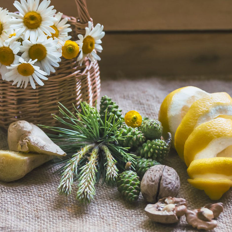 我的春季滋補美學：簡單 4 招喚醒你沉睡的健康！